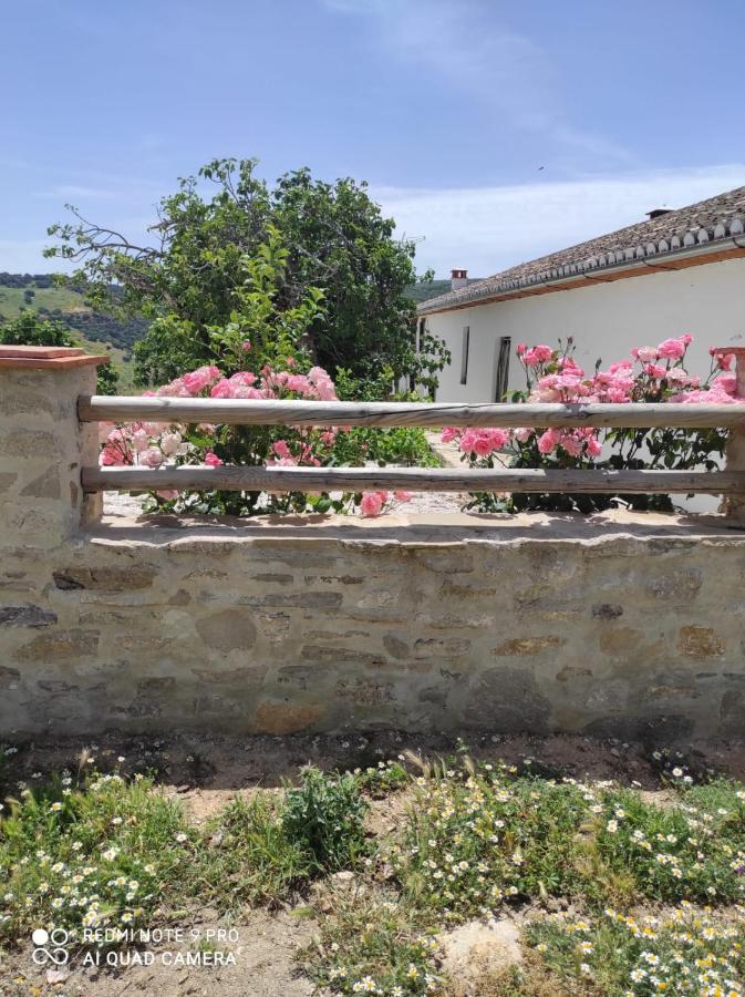 cortijo la laguna Ronda Exterior foto